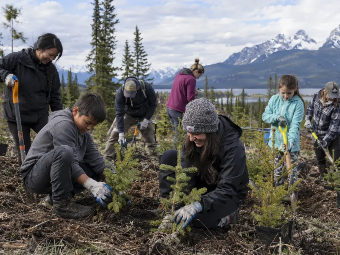 Des bénévoles plantent des jeunes épinettes à flanc de montagne, au Canada