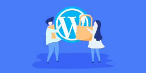 10 conseils pour sécuriser votre site Wordpress