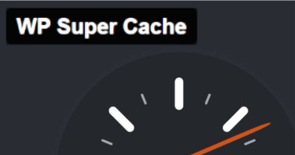 ressource mise en cache d'une page web, mettre en cache control fichiers images, bases de données, temps de chargement