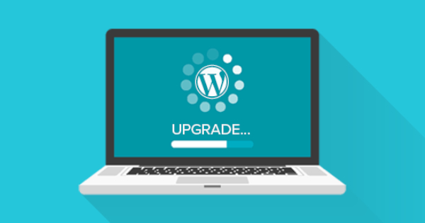 fse compétences base de données wordpress d'un site web nouveautés blog champs fin plugin logiciel phase présentation