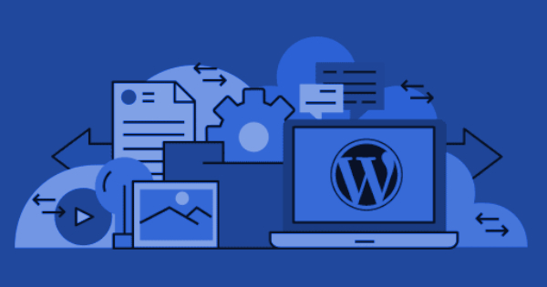 Optimiser l’espace disque d&rsquo;un site WordPress
