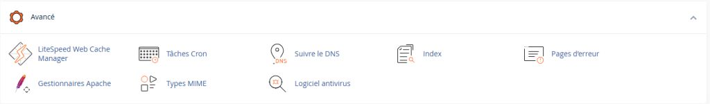 La section des paramètres avancés de cPanel