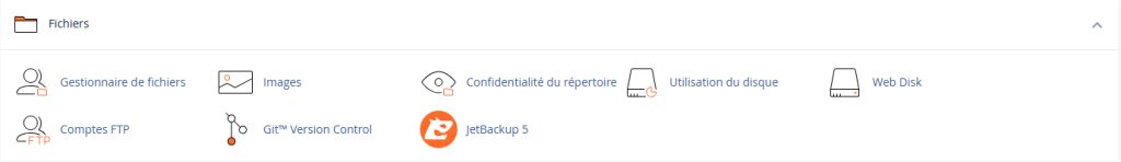Le panneau de contrôle inclut une section pour la gestion des fichiers.