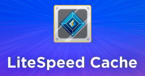 Qu’est-ce que la mise en cache LiteSpeed offerte par Ex2?