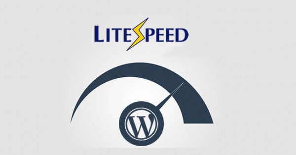 technologie de mise en cache Litespeed