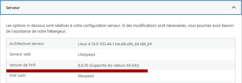Les informations sur le serveur d'un site WordPress indique la version de PHP.