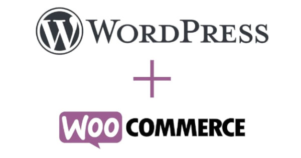 Ex2 possède une expertise reconnue avec WordPress et WooCommerce