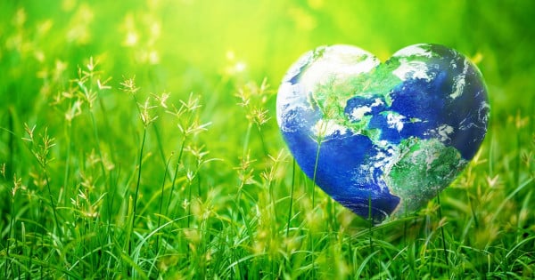 Comparaison de l'engagement écologique d'Ex2 et de Kinsta