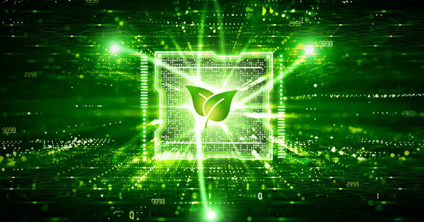 Engagement écologique: Ex2 vs. Digital Forest