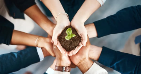 Choisir  un Hébergement web éco-responsable et local