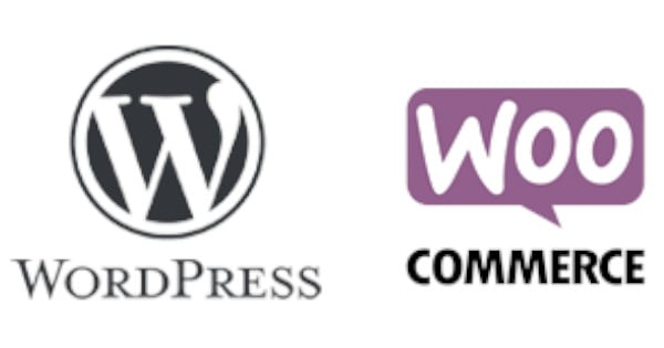 Ex2 vs. Rapidenet: Quel est le meilleur hébergeur WooCommerce?