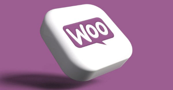 Ex2 vs. Dreamhost: Quel est le meilleur hébergeur WooCommerce?