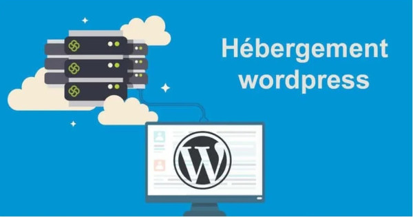 Quel hébergeur WordPress est le meilleur : Ex2 vs. Infomaniak