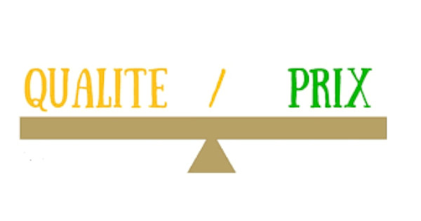 Rapport qualité-prix: WordPress vs. Wix