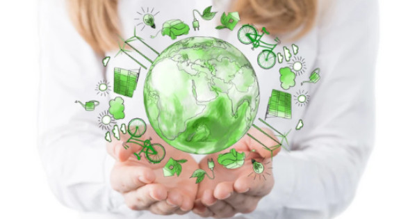 Impact écologique : Ex2, un hébergeur vert exemplaire