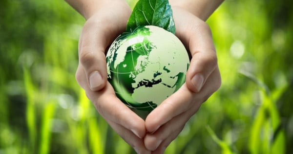 Engagement écologique : Ex2, le champion du web vert