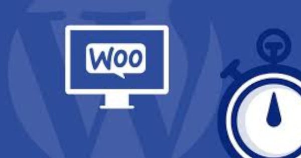 Hébergement WooCommerce : Ex2 vs. Cloudways