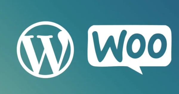 Hébergement WooCommerce : Ex2 vs. A-A-Hébergement