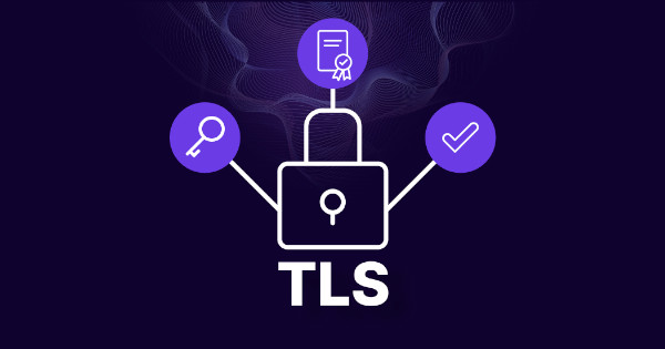 Qu’est-ce que le protocole TLS (Transport Layer Security) ?