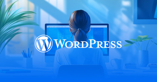 Comprenez les besoins de votre site WordPress afin de choisir le bon thème